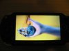psp1.jpg