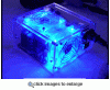 xoxide_1918_13052298.gif