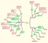 mind_map.png