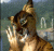Remixedcat