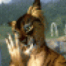 Remixedcat