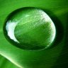 Raindrop