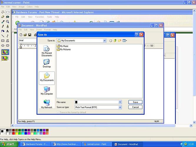 Fat cursor again..JPG